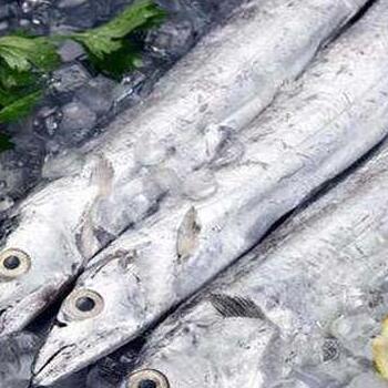 印尼凍帶魚進口報關